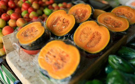 A Beginner's Guide to Benefits of Plant-Based Diets