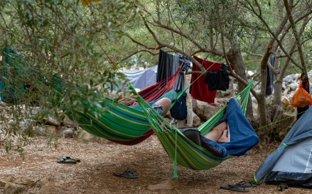 Unplugging for Mental Wellness with Digital Detox Retreats